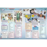 Guinness World Records 2025 70th