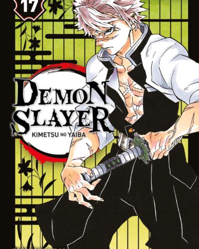 Demon Slayer T17