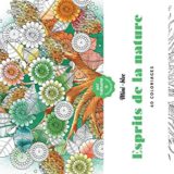 Anti Stress Mini-bloc d'Art-thérapie Esprits de la nature