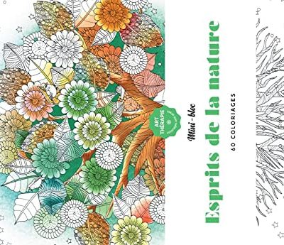 Anti Stress Mini-bloc d'Art-thérapie Esprits de la nature