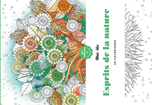 Anti Stress Mini-bloc d'Art-thérapie Esprits de la nature