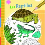 65ce380d50b870d92783694ee420743afea712f5a3a5d3bdb3109