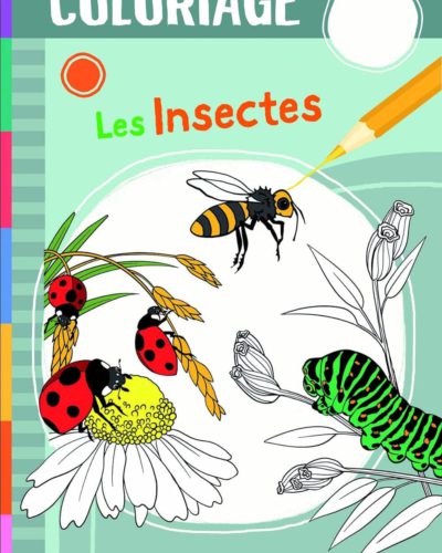 Les insectes - Coloriage