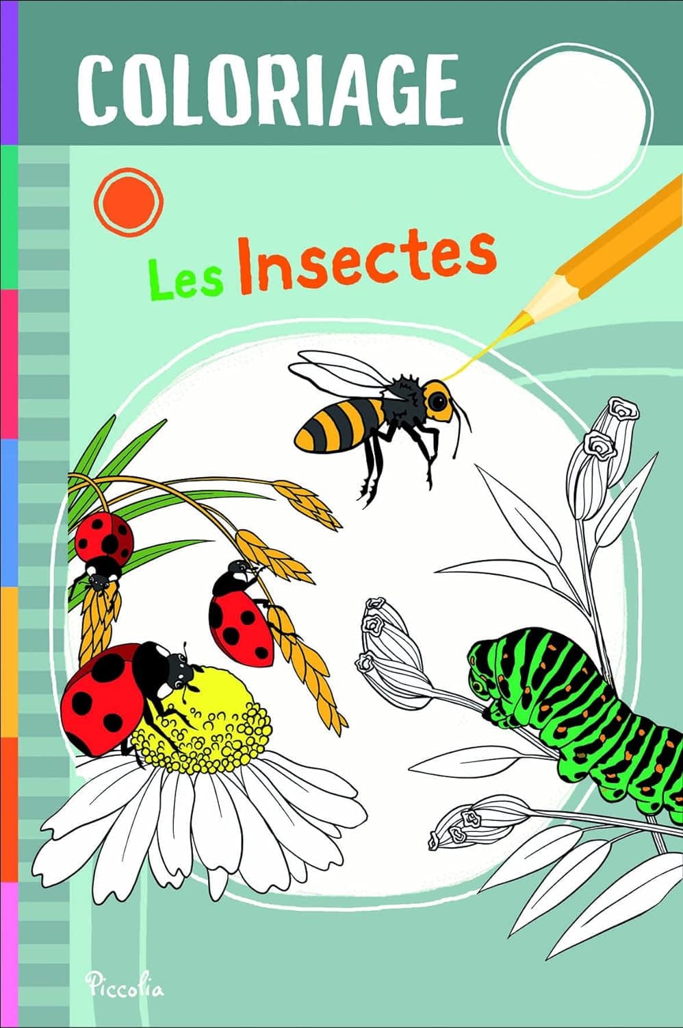 Les insectes - Coloriage