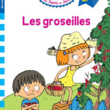 Sami et Julie CP Niveau 3 Les Groseilles