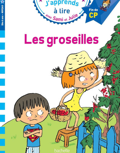 Sami et Julie CP Niveau 3 Les Groseilles