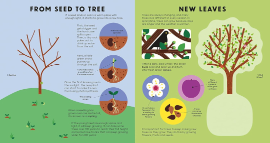 The Tree Book: Discover the amazing world of trees with incredible SEE-THROUGH pages! (Hannah Alice series) 1 The Tree Book: Discover the amazing world of trees with incredible SEE-THROUGH pages! (Hannah Alice series)